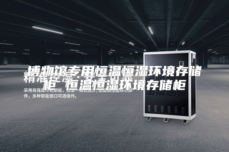 博物馆专用恒温恒湿环境存储柜 恒温恒湿环境存储柜