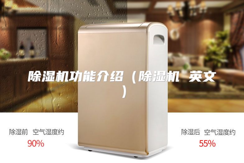 除湿机功能介绍（除湿机 英文）