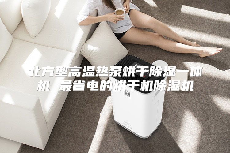 北方型高温热泵烘干除湿一体机 最省电的烘干机除湿机