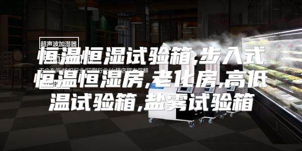 恒温恒湿试验箱,步入式恒温恒湿房,老化房,高低温试验箱,盐雾试验箱