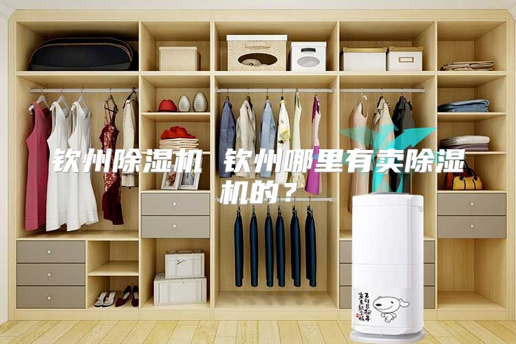 钦州除湿机 钦州哪里有卖除湿机的？