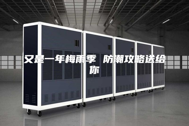 又是一年梅雨季 防潮攻略送给你