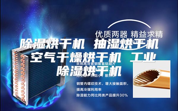 除湿烘干机 抽湿烘干机 空气干燥烘干机 工业除湿烘干机