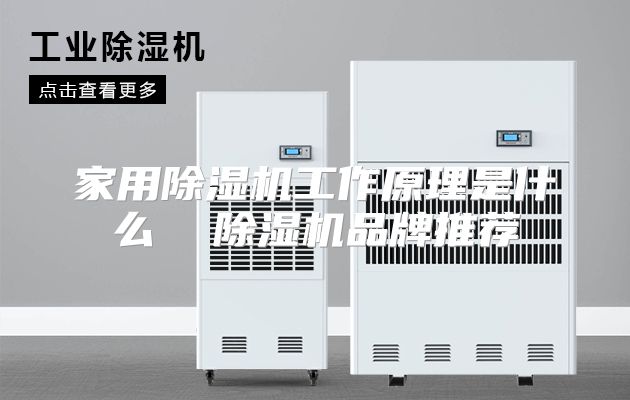 家用除湿机工作原理是什么  除湿机品牌推荐