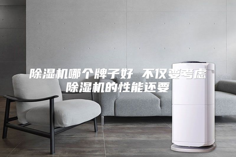 除湿机哪个牌子好 不仅要考虑除湿机的性能还要
