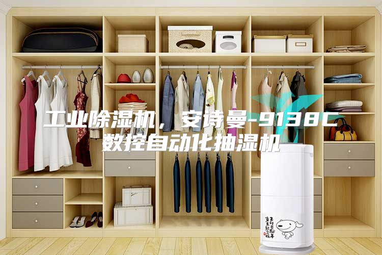 工业除湿机，安诗曼-9138C数控自动化抽湿机