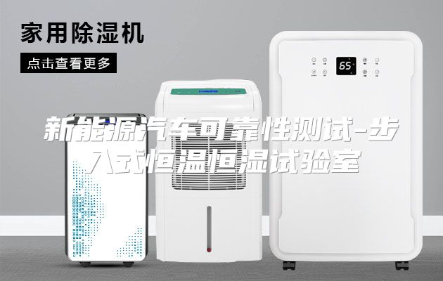 新能源汽车可靠性测试-步入式恒温恒湿试验室