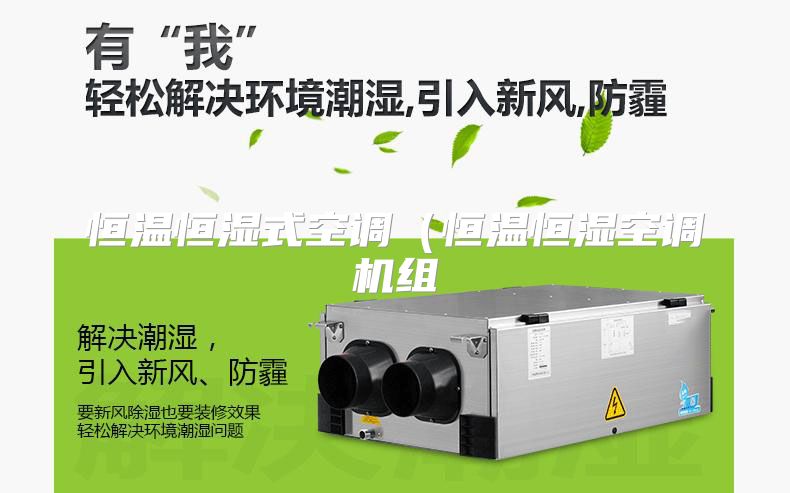 恒温恒湿式空调（恒温恒湿空调机组