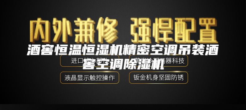 酒窖恒温恒湿机精密空调吊装酒窖空调除湿机