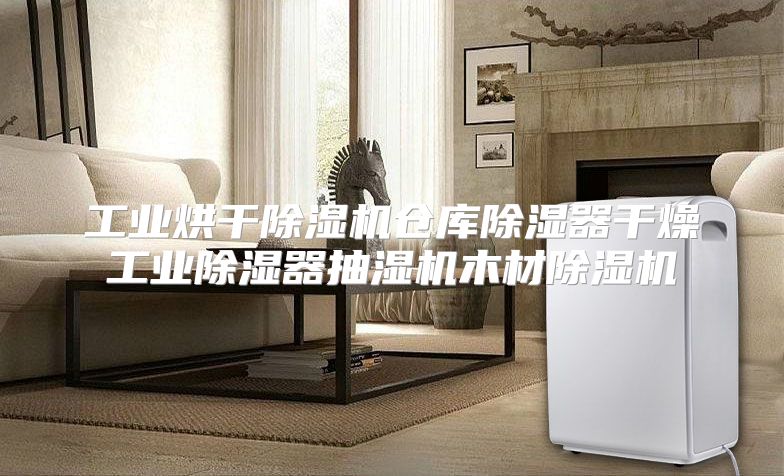 工业烘干除湿机仓库除湿器干燥工业除湿器抽湿机木材除湿机