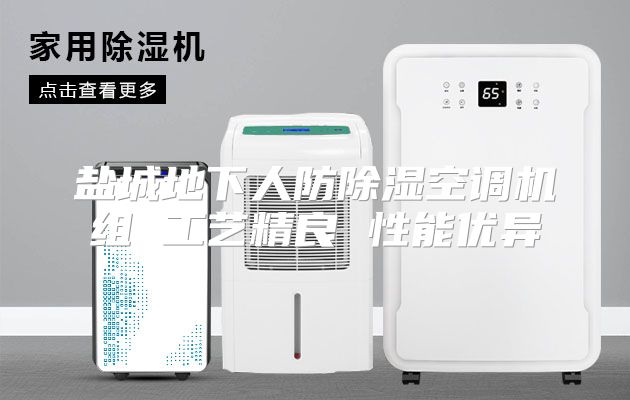 盐城地下人防除湿空调机组 工艺精良 性能优异