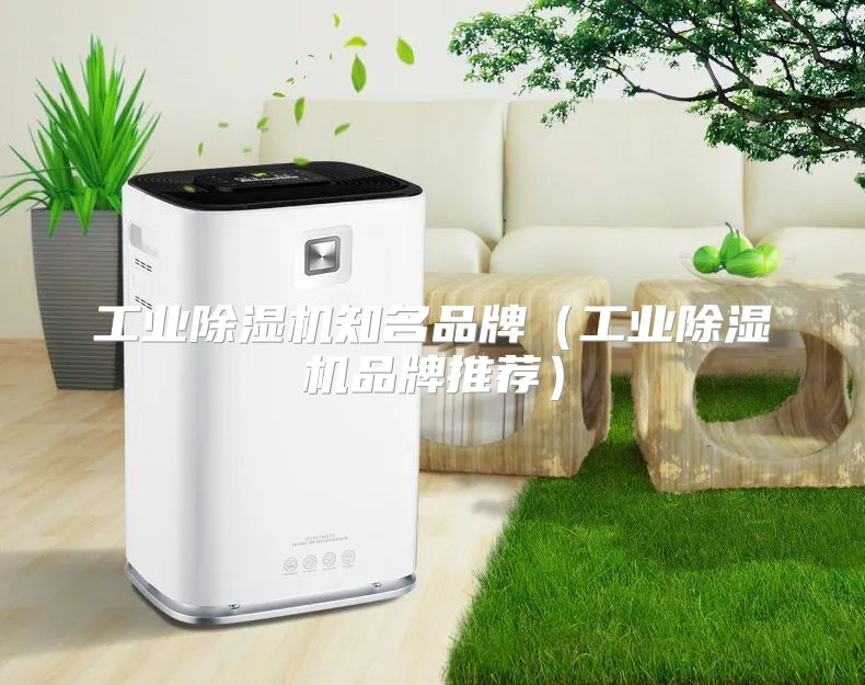 工业除湿机知名品牌（工业除湿机品牌推荐）