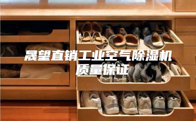 晟望直销工业空气除湿机 质量保证