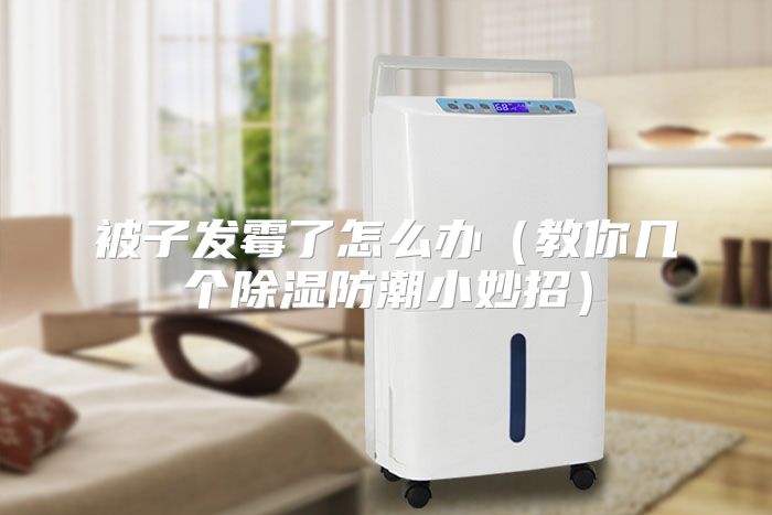 被子发霉了怎么办（教你几个除湿防潮小妙招）