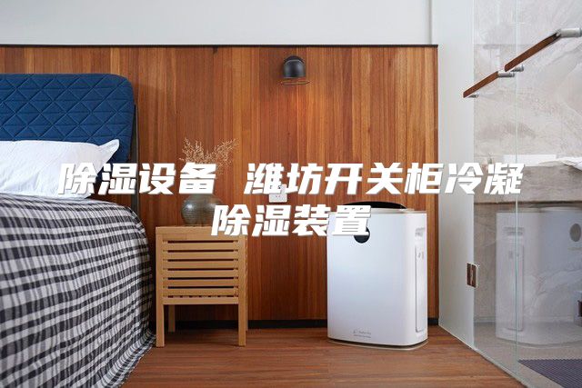 除湿设备 潍坊开关柜冷凝除湿装置