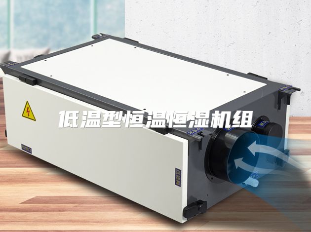 低温型恒温恒湿机组