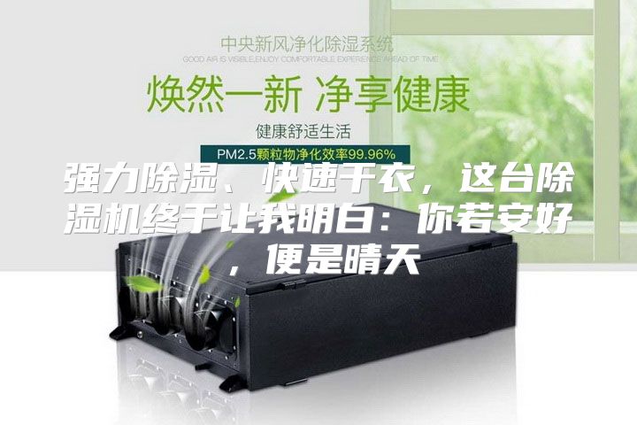 强力除湿、快速干衣，这台除湿机终于让我明白：你若安好，便是晴天