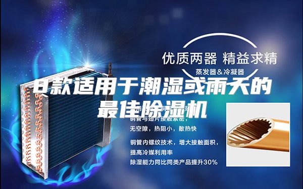 8款适用于潮湿或雨天的最佳除湿机