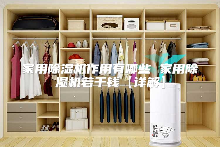 家用除湿机作用有哪些 家用除湿机若干钱【详解】