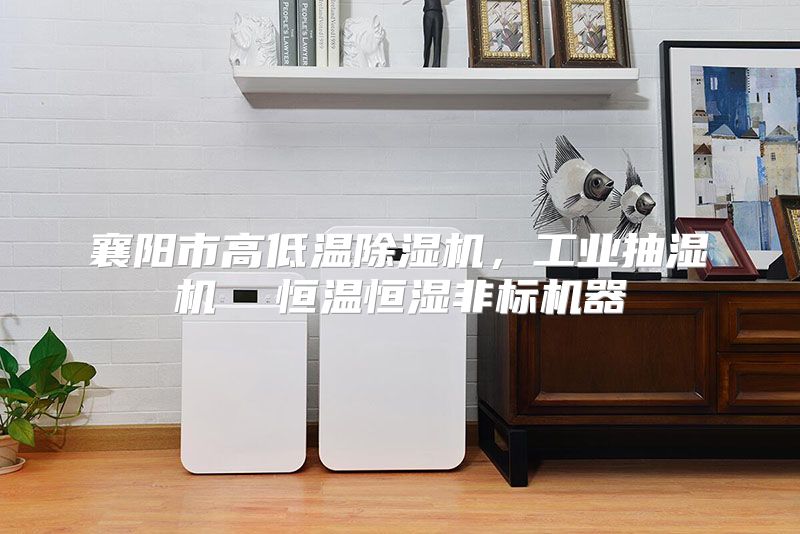 襄阳市高低温除湿机，工业抽湿机  恒温恒湿非标机器