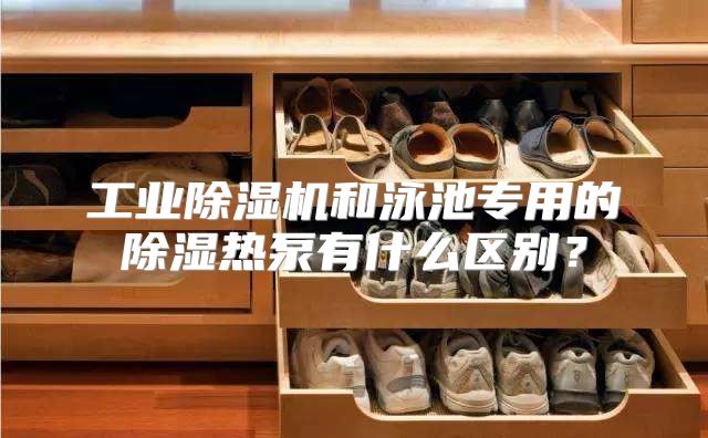 工业除湿机和泳池专用的除湿热泵有什么区别？