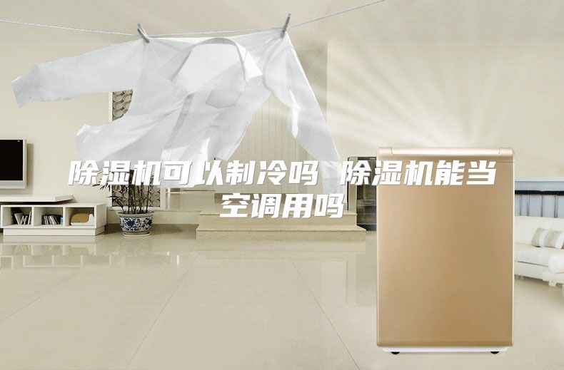 除湿机可以制冷吗 除湿机能当空调用吗