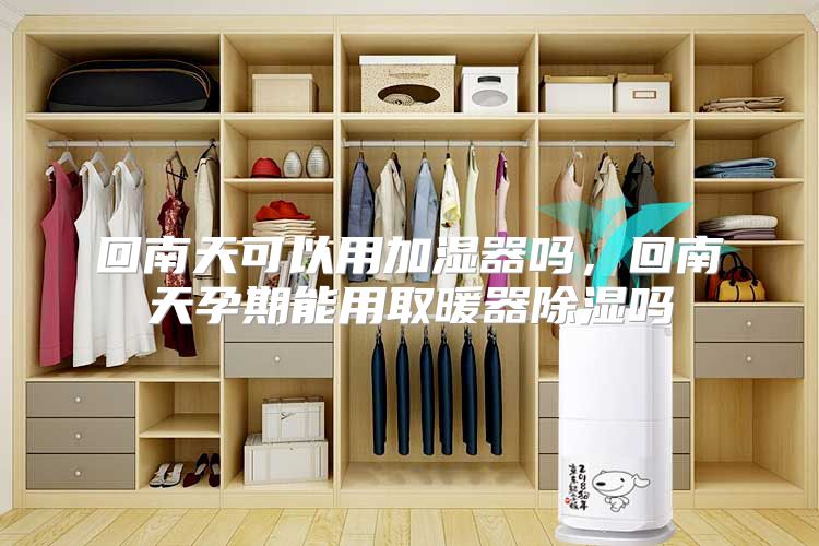 回南天可以用加湿器吗，回南天孕期能用取暖器除湿吗