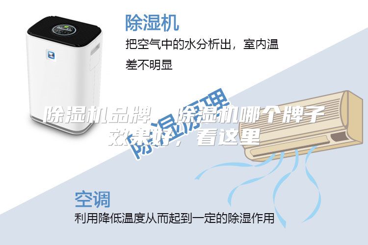 除湿机品牌，除湿机哪个牌子效果好，看这里