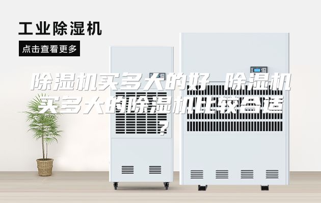 除湿机买多大的好 除湿机买多大的除湿机比较合适？
