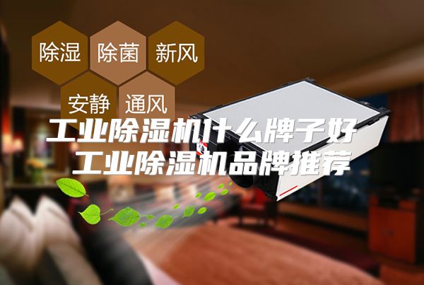 工业除湿机什么牌子好 工业除湿机品牌推荐