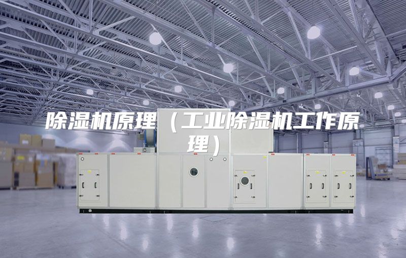 除湿机原理（工业除湿机工作原理）