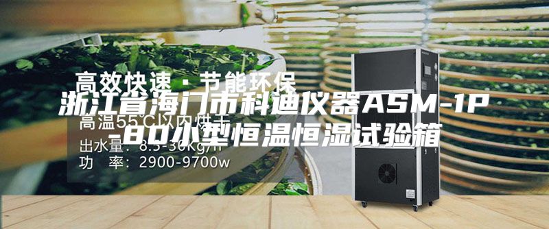 浙江省海门市科迪仪器ASM-1P-80小型恒温恒湿试验箱