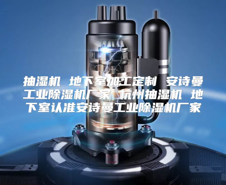 抽湿机 地下室加工定制 安诗曼工业除湿机厂家 杭州抽湿机 地下室认准安诗曼工业除湿机厂家