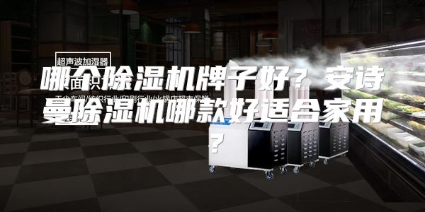哪个除湿机牌子好？安诗曼除湿机哪款好适合家用？