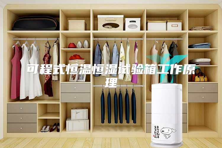 可程式恒温恒湿试验箱工作原理