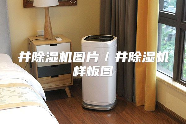 井除湿机图片／井除湿机样板图