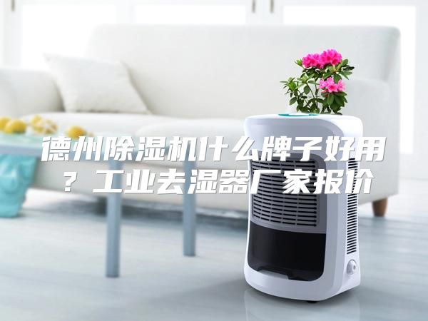德州除湿机什么牌子好用？工业去湿器厂家报价