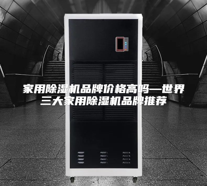 家用除湿机品牌价格高吗—世界三大家用除湿机品牌推荐