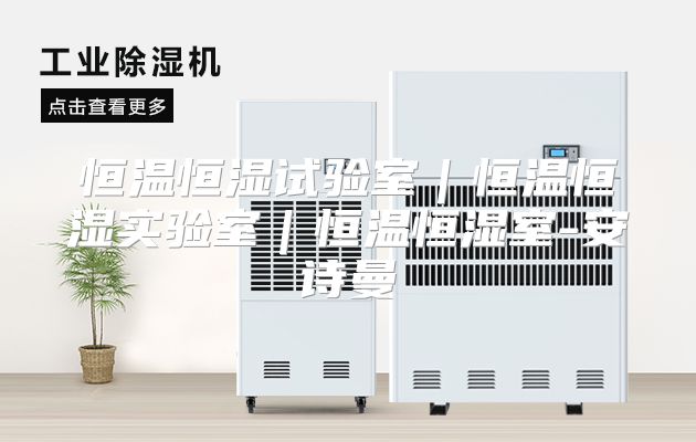 恒温恒湿试验室｜恒温恒湿实验室｜恒温恒湿室-安诗曼
