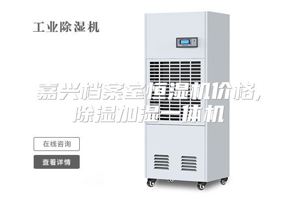 嘉兴档案室恒湿机价格,除湿加湿一体机