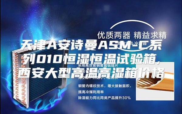 天津A安诗曼ASM-C系列010恒湿恒温试验箱,西安大型高温高湿箱价格
