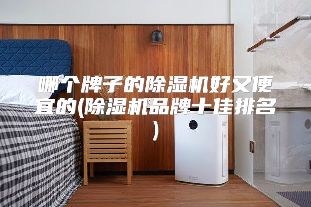 哪个牌子的除湿机好又便宜的(除湿机品牌十佳排名)