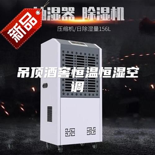 吊顶酒窖恒温恒湿空调