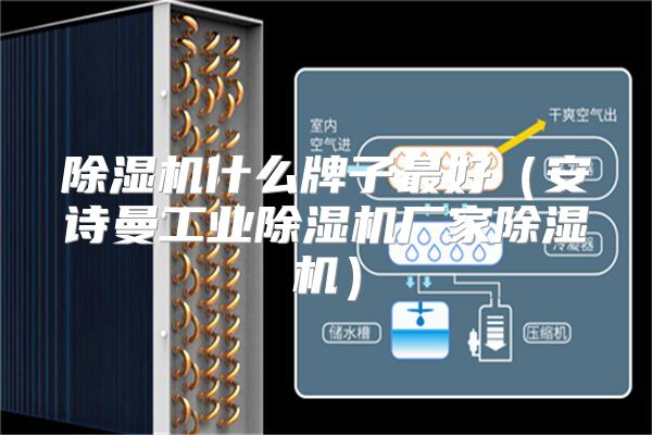 除湿机什么牌子最好（安诗曼工业除湿机厂家除湿机）