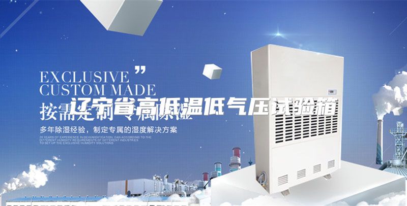 辽宁省高低温低气压试验箱