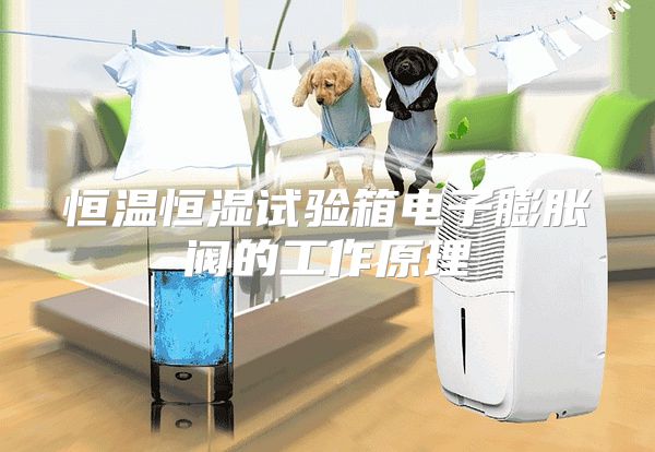 恒温恒湿试验箱电子膨胀阀的工作原理