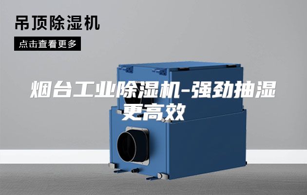 烟台工业除湿机-强劲抽湿更高效