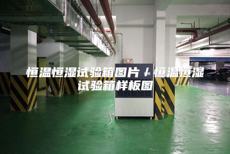 恒温恒湿试验箱图片/恒温恒湿试验箱样板图