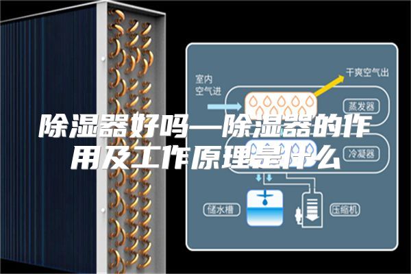 除湿器好吗—除湿器的作用及工作原理是什么