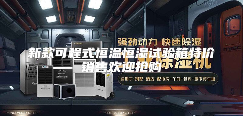 新款可程式恒温恒湿试验箱特价销售欢迎抢购